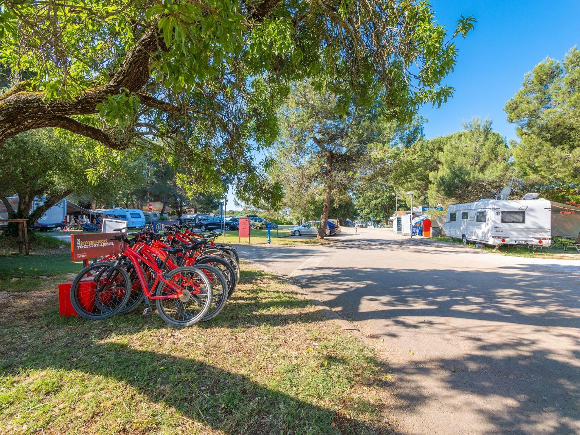 Eurocamp Tents At Campsite Polari 로비니 외부 사진